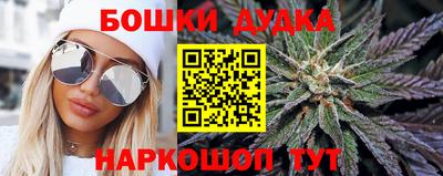 не бодяженный Кингисепп