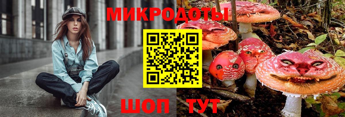 Псилоцибиновые грибы ЛСД  Вход с VPN  Псилоцибиновые грибы Cubensis  где купить наркотик  Котлас 