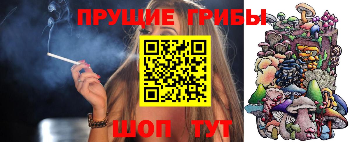Псилоцибиновые грибы MAGIC MUSHROOMS Котлас